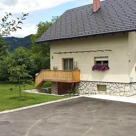 Garden *